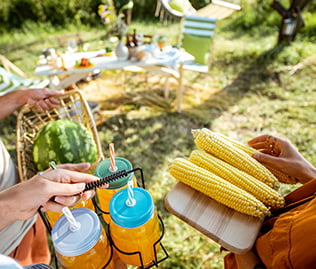 Gartenparty sinnbildlich für Insektensaison-Parapic